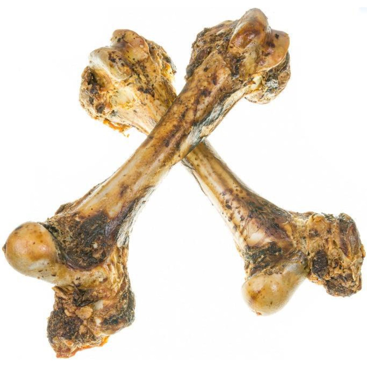 עצם טבעית בקר דינו