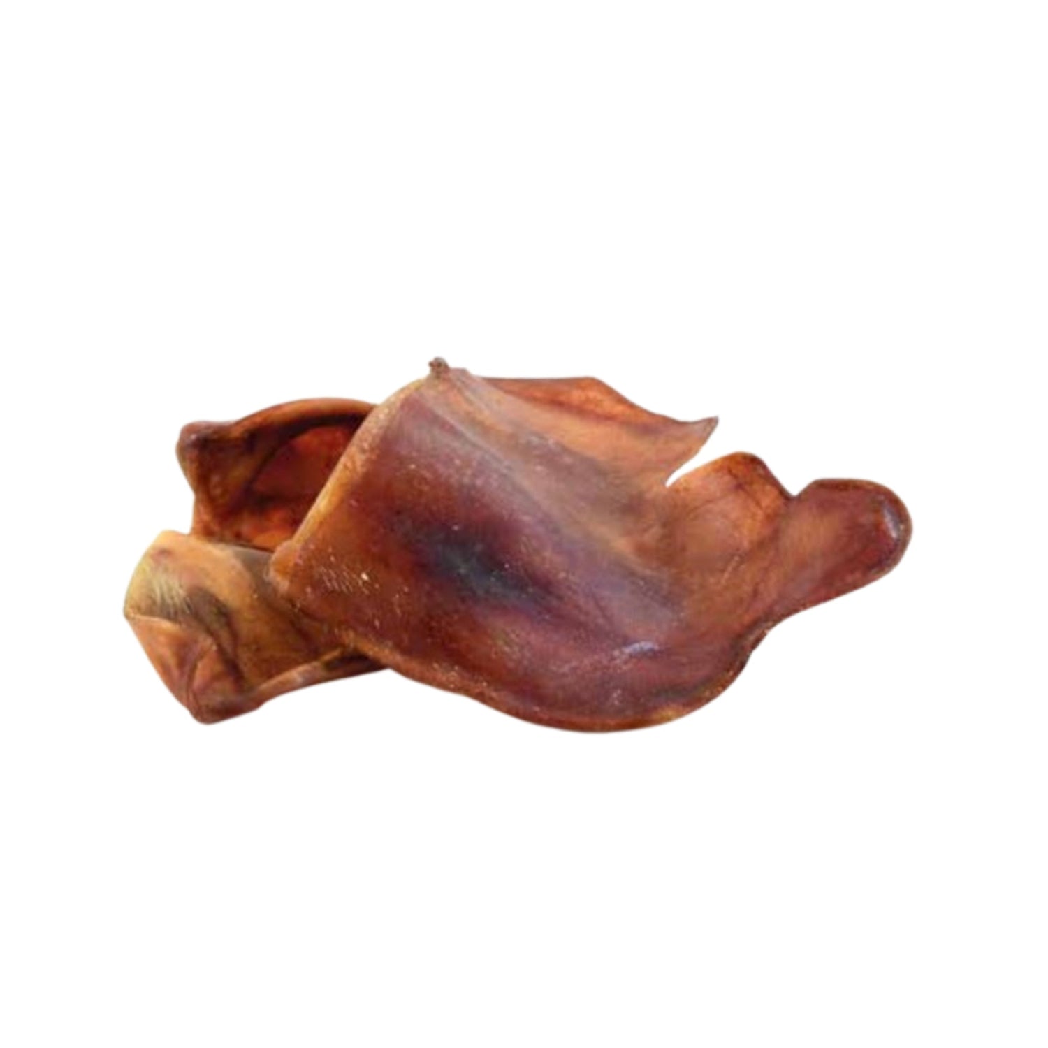 עצם טבעית כלבים אוזן חזיר